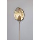 IQ2220 COQUILLAGE 